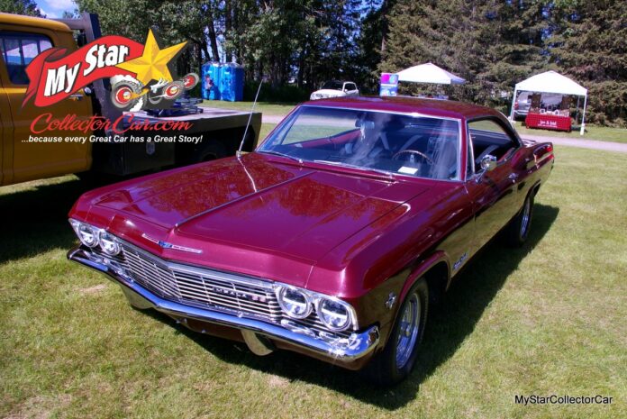 IMGP6288_Watermarked