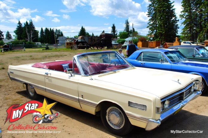 IMGP8628-fotor-2025061813177_Watermarked