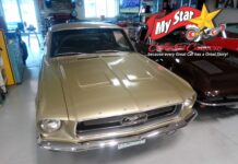 JANUARY 2026: A 1967 MUSTANG A-CODE FASTBACK IS A TRUE SURVIVOR WITH ONLY 51,000 MILES ON IT
