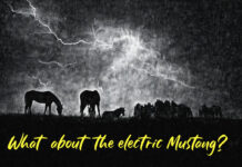 MYSTAR AUGUST 29 FIVE FOR FRIDAY: FIVE GOOD REASONS NOT TO BUY AN ELECTRIC MUSTANG