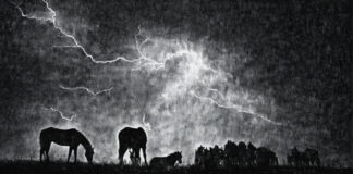 MYSTAR AUGUST 29 FIVE FOR FRIDAY: FIVE GOOD REASONS NOT TO BUY AN ELECTRIC MUSTANG