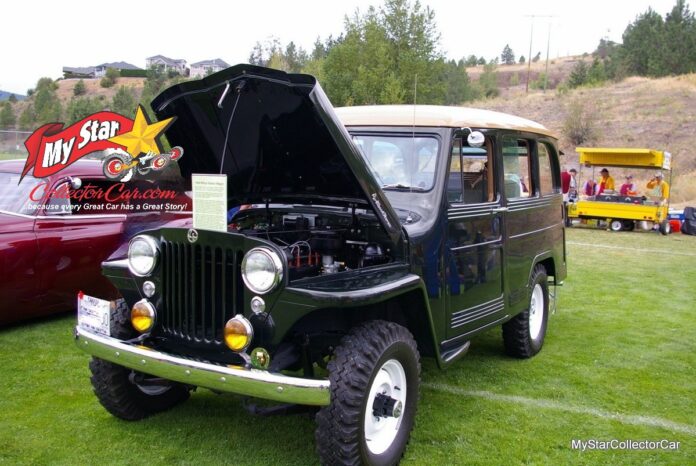 IMGP6514-fotor-20250722155655_Watermarked