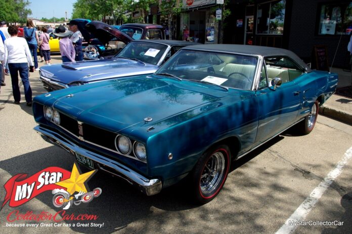 IMGP8910_Watermarked