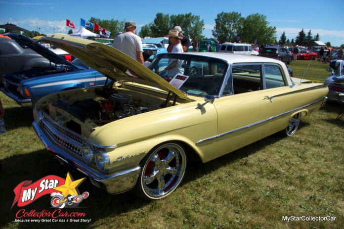 IMGP9072_Watermarked