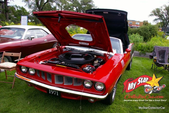 IMGP6793_Watermarked