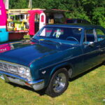 IMGP9592