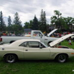 IMGP9821