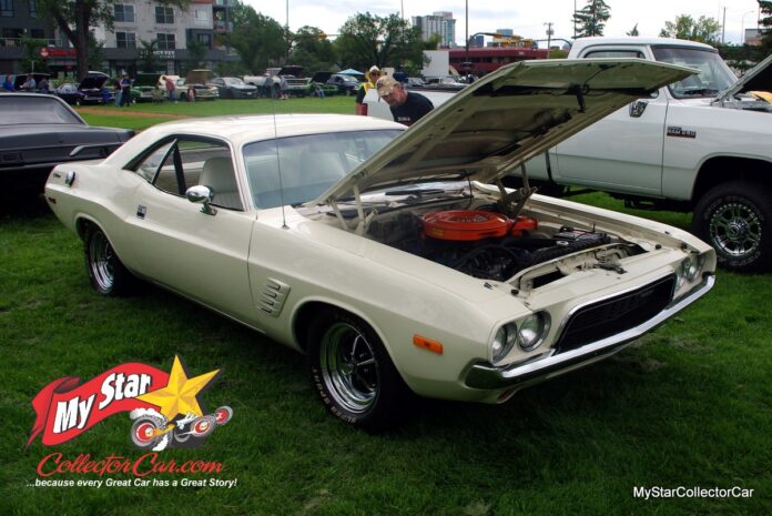 IMGP9831_Watermarked