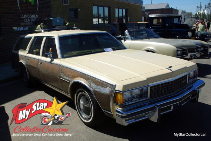 IMGP9975_Watermarked