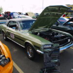 IMGP8961