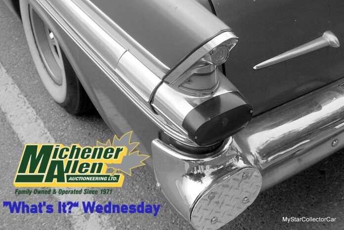 IMGP7731_Watermarked