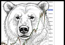 A CLINICAL LOOK AT THE CAR HOBBY