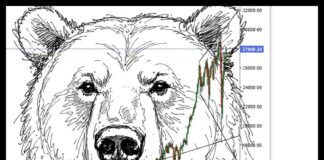 A CLINICAL LOOK AT THE CAR HOBBY