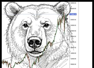 A CLINICAL LOOK AT THE CAR HOBBY