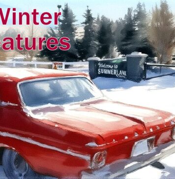 FIVE WARM CAR FEATURES BUILT TO BATTLE WINTER COLD