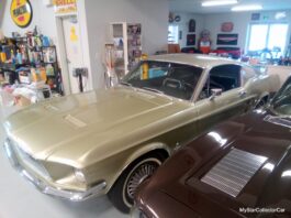 JANUARY 2026: A 1967 MUSTANG A-CODE FASTBACK IS A TRUE SURVIVOR WITH ONLY 51,000 MILES ON IT