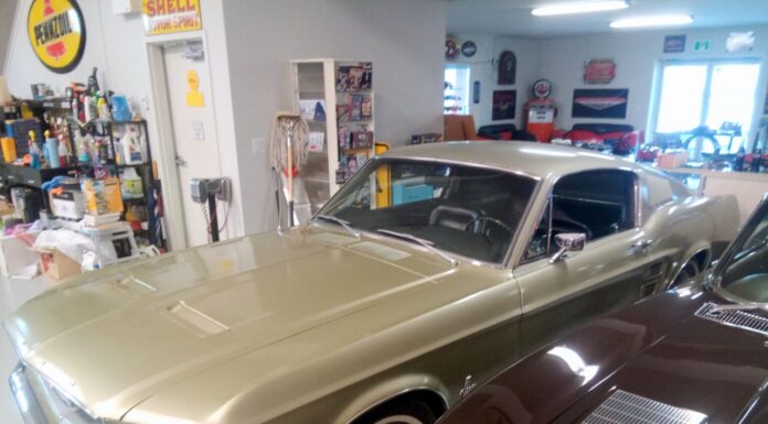 JANUARY 2026: A 1967 MUSTANG A-CODE FASTBACK IS A TRUE SURVIVOR WITH ONLY 51,000 MILES ON IT