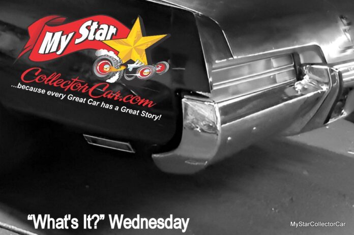 IMG_2896-fotor-2026012710553-002_Watermarked