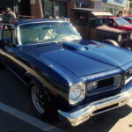 IMGP4507