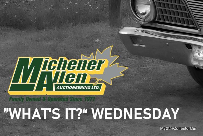 AIMGP2317-fotor-20260303104538_Watermarked