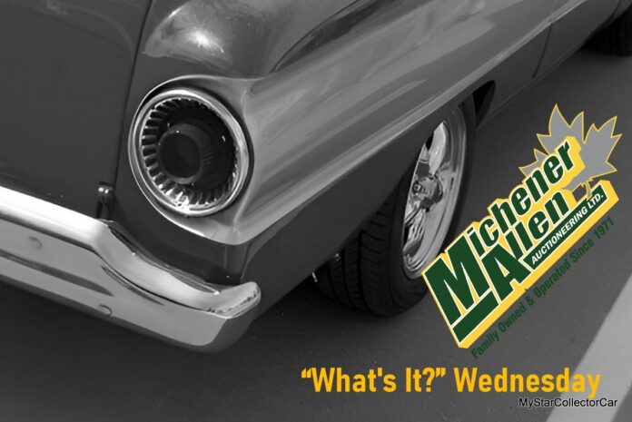 IMGP4613-fotor-20260331104232_Watermarked