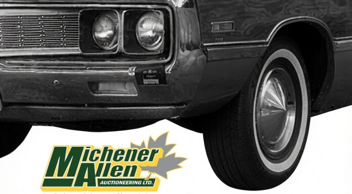 MICHENER-ALLEN AUCTIONEERING JUNE 3 “WHAT’S IT?” WEDNESDAY