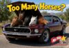 WHEN ARE THERE TOO MANY HORSES UNDER THE HOOD?