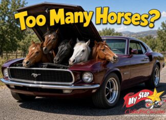 WHEN ARE THERE TOO MANY HORSES UNDER THE HOOD?