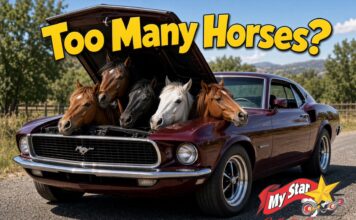 WHEN ARE THERE TOO MANY HORSES UNDER THE HOOD?