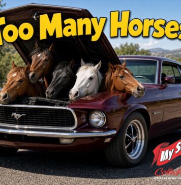 WHEN ARE THERE TOO MANY HORSES UNDER THE HOOD?