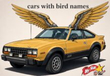5 CAR MODELS WITH BIRD NAMES THAT SOARED ABOVE THE AMC EAGLE
