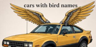 5 CAR MODELS WITH BIRD NAMES THAT SOARED ABOVE THE AMC EAGLE