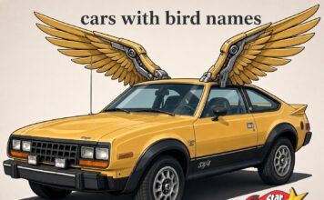 5 CAR MODELS WITH BIRD NAMES THAT SOARED ABOVE THE AMC EAGLE